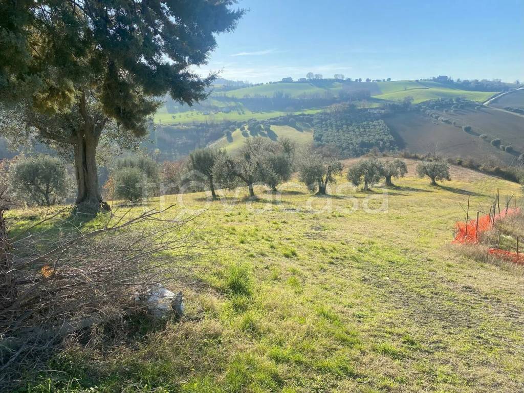 immagine annuncio 4 di 14