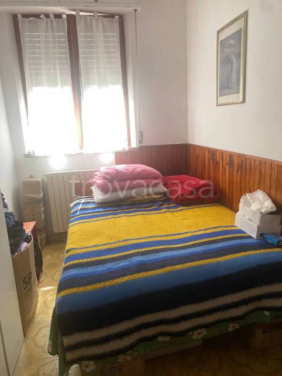 immagine annuncio 9 di 14
