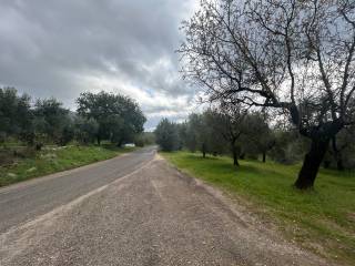 Terreno agricolo in vendita a fara in sabina viale roma, 58