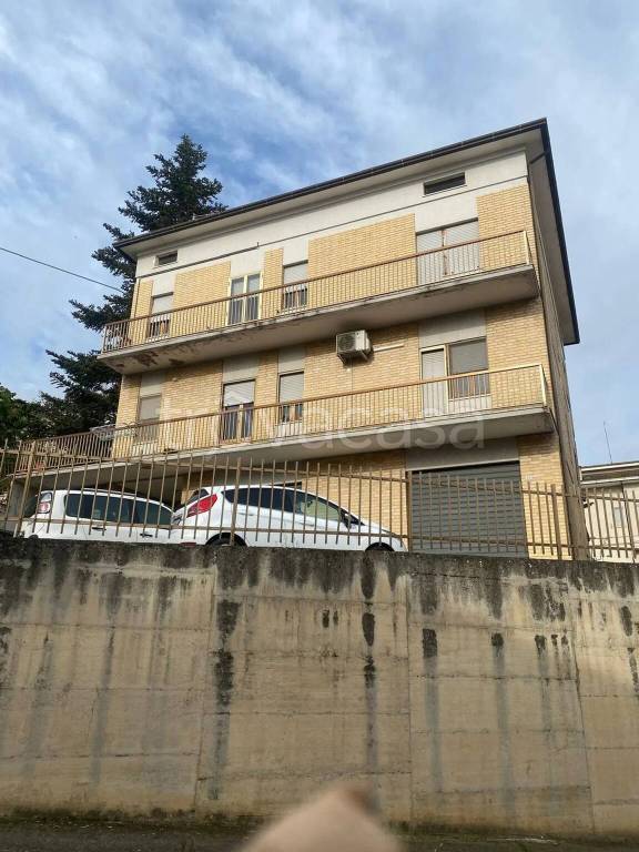 immagine annuncio 9 di 10