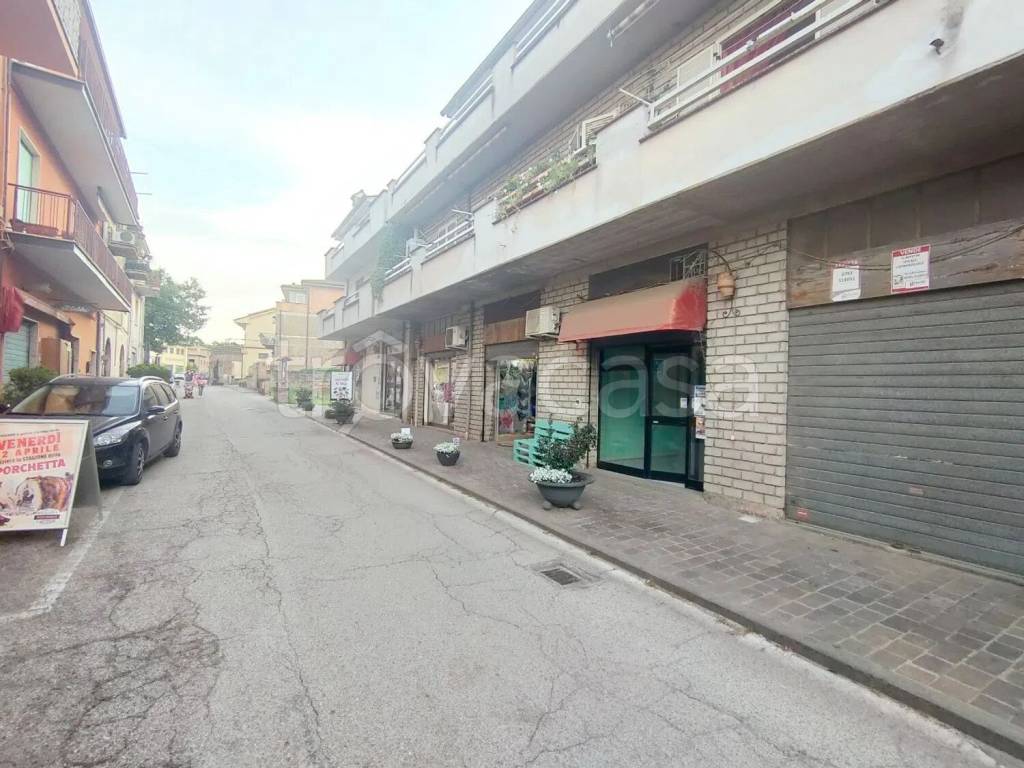immagine annuncio 9 di 11