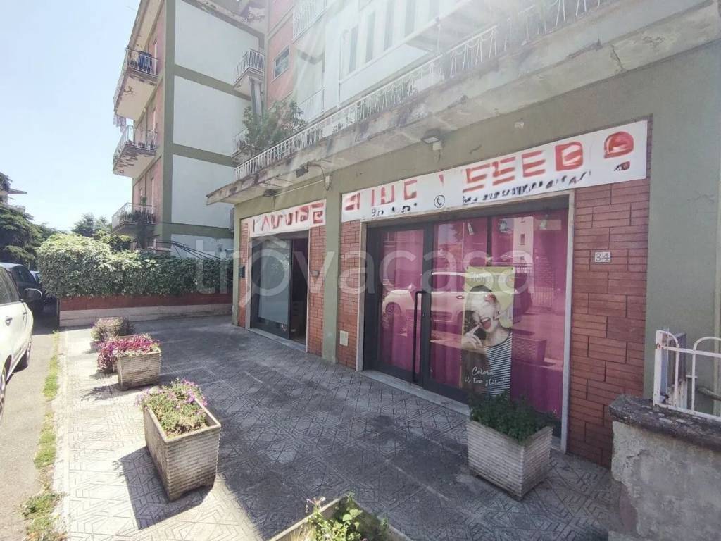 immagine annuncio 2 di 14