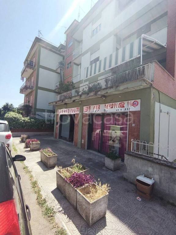 immagine annuncio 4 di 14