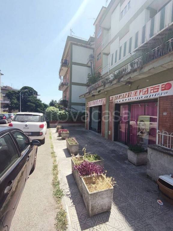 immagine annuncio 5 di 14
