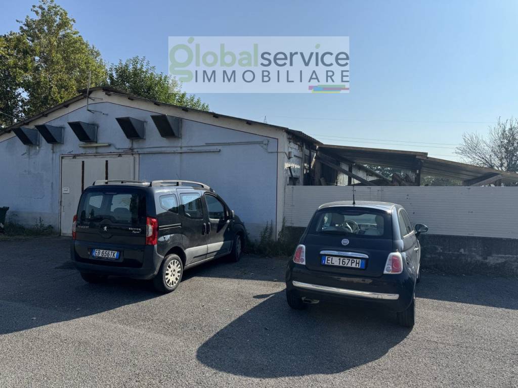 immagine annuncio 11 di 15