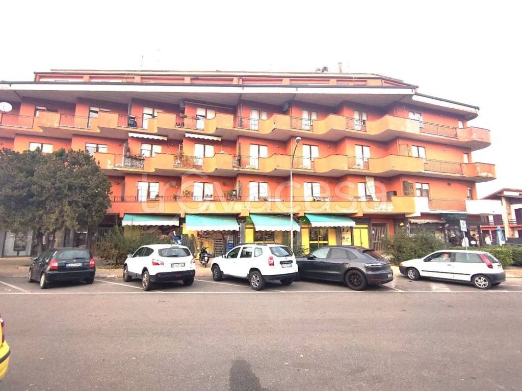 immagine annuncio 3 di 15