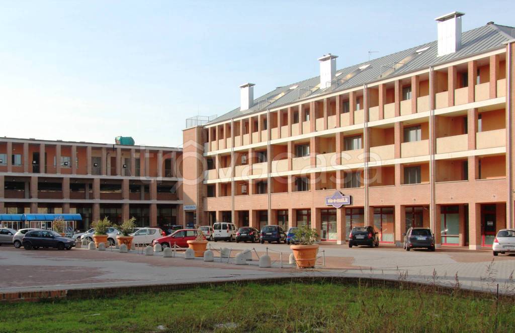 immagine annuncio 9 di 14