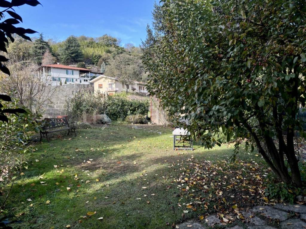 immagine annuncio 12 di 14
