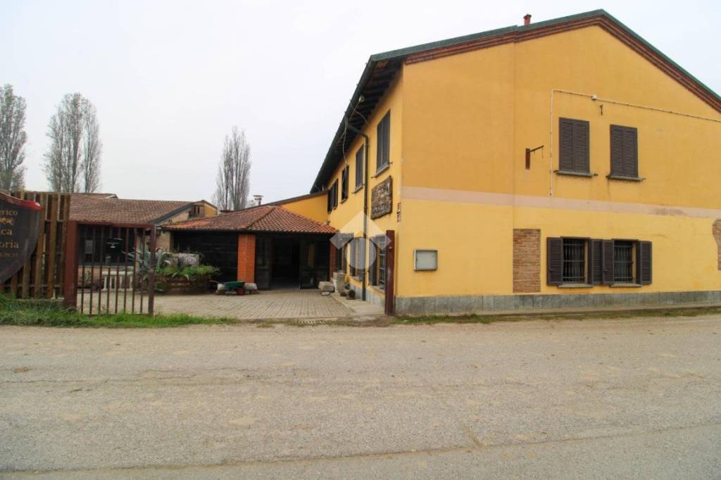 immagine annuncio 12 di 15