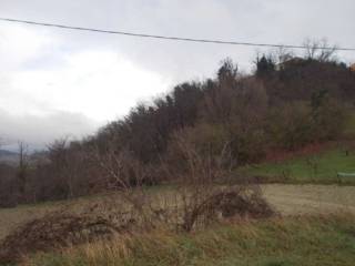 Terreno agricolo all'asta a casasco sp118