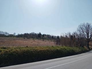 Terreno agricolo in vendita a campobasso c.da polese, snc