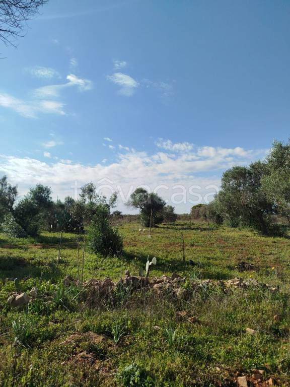 immagine annuncio 1 di 3
