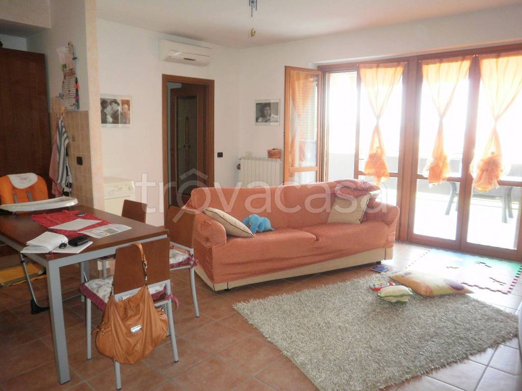 immagine annuncio 2 di 12