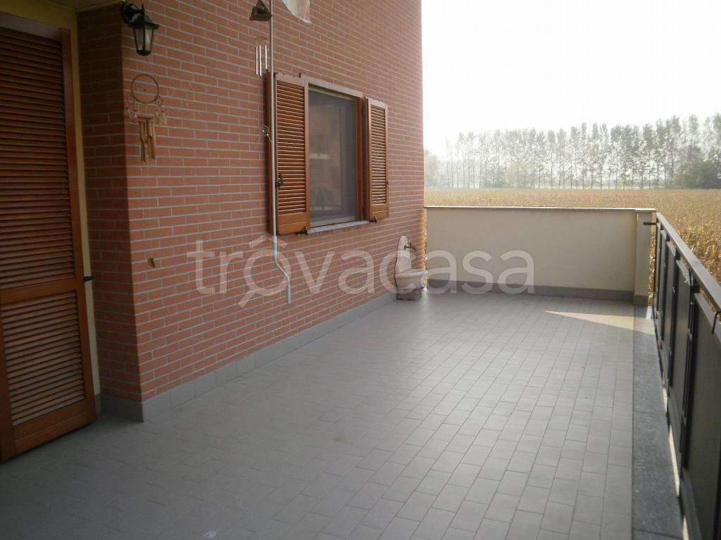 immagine annuncio 4 di 12