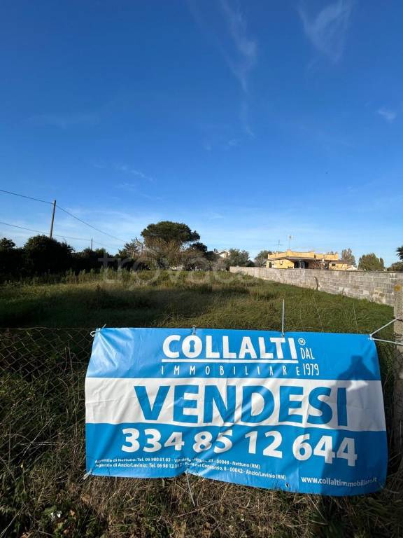 immagine annuncio 12 di 15