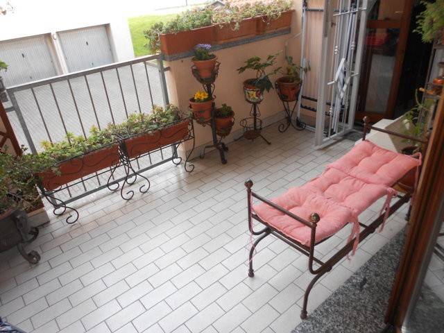 immagine annuncio 7 di 12