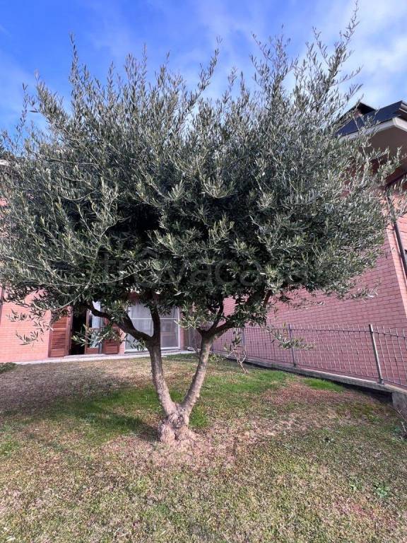 immagine annuncio 1 di 15