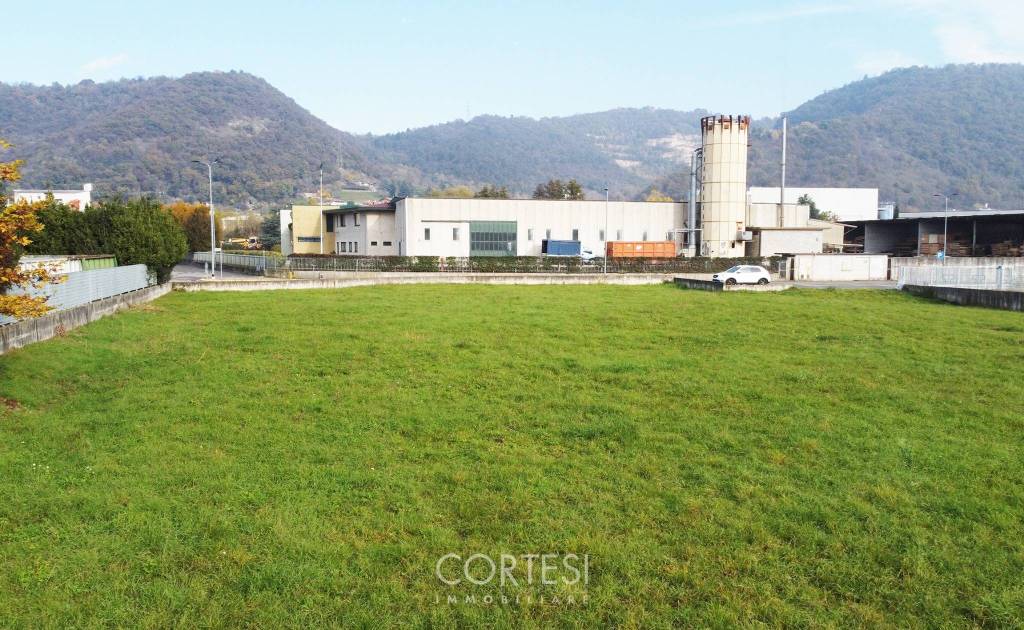 immagine annuncio 4 di 7