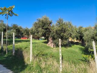 Terreno residenziale in vendita a fara in sabina via fulvia plautilla, 23