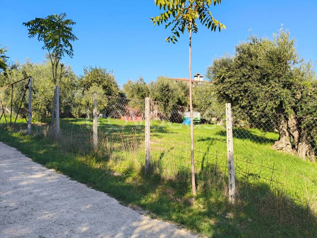immagine annuncio 1 di 13
