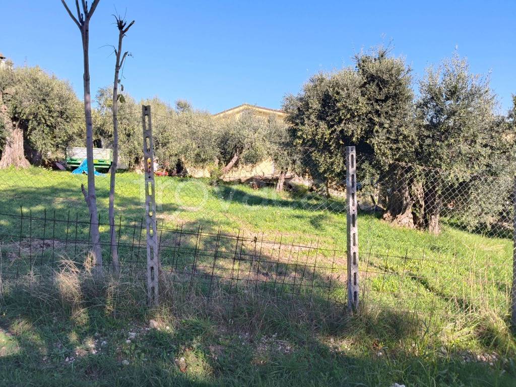 immagine annuncio 2 di 13