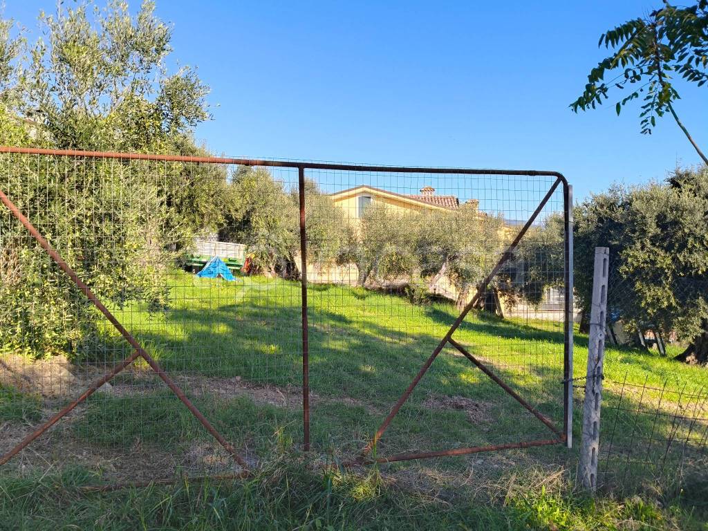 immagine annuncio 3 di 13