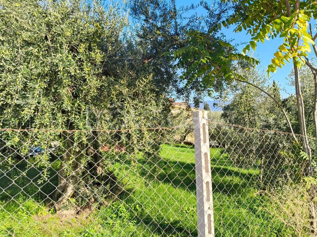 immagine annuncio 4 di 13