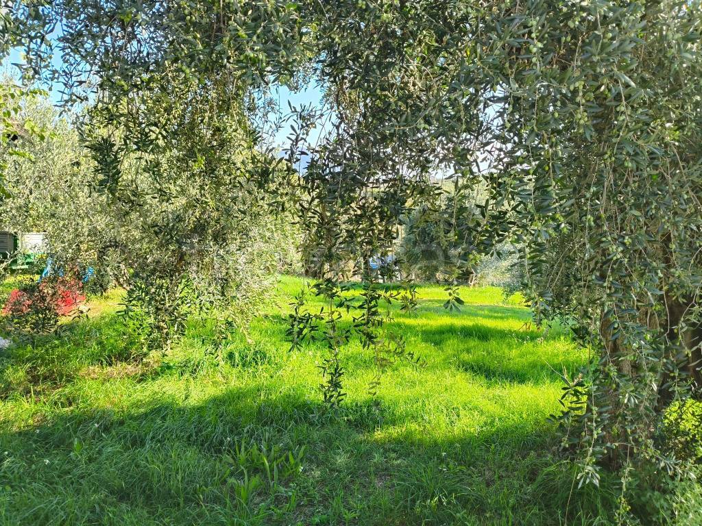 immagine annuncio 5 di 13