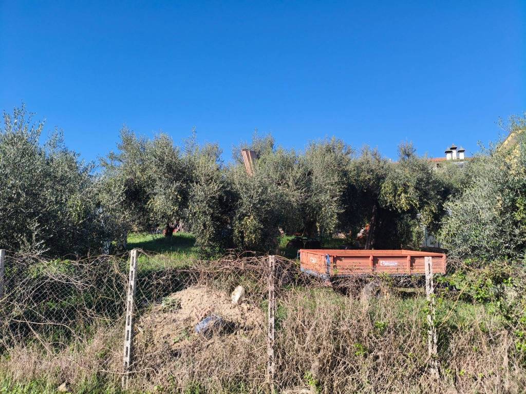 immagine annuncio 9 di 13