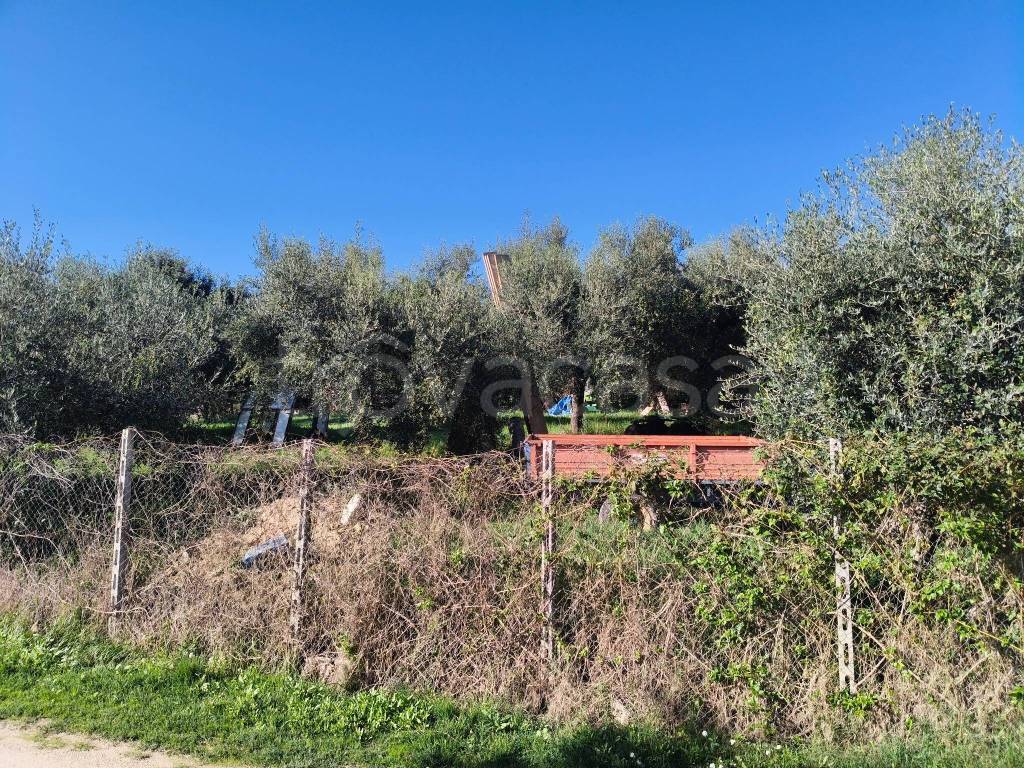 immagine annuncio 10 di 13