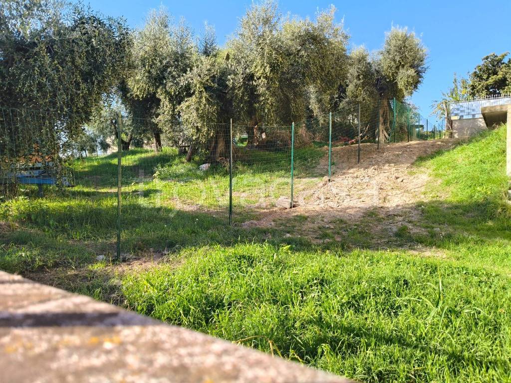 immagine annuncio 12 di 13
