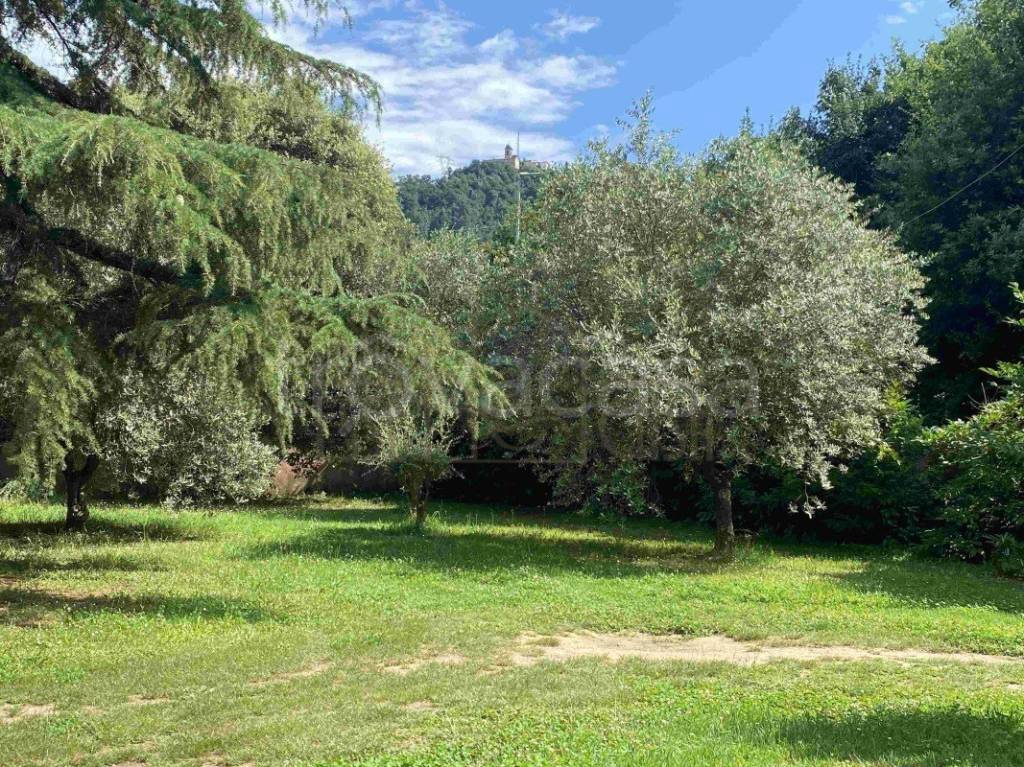 immagine annuncio 5 di 12
