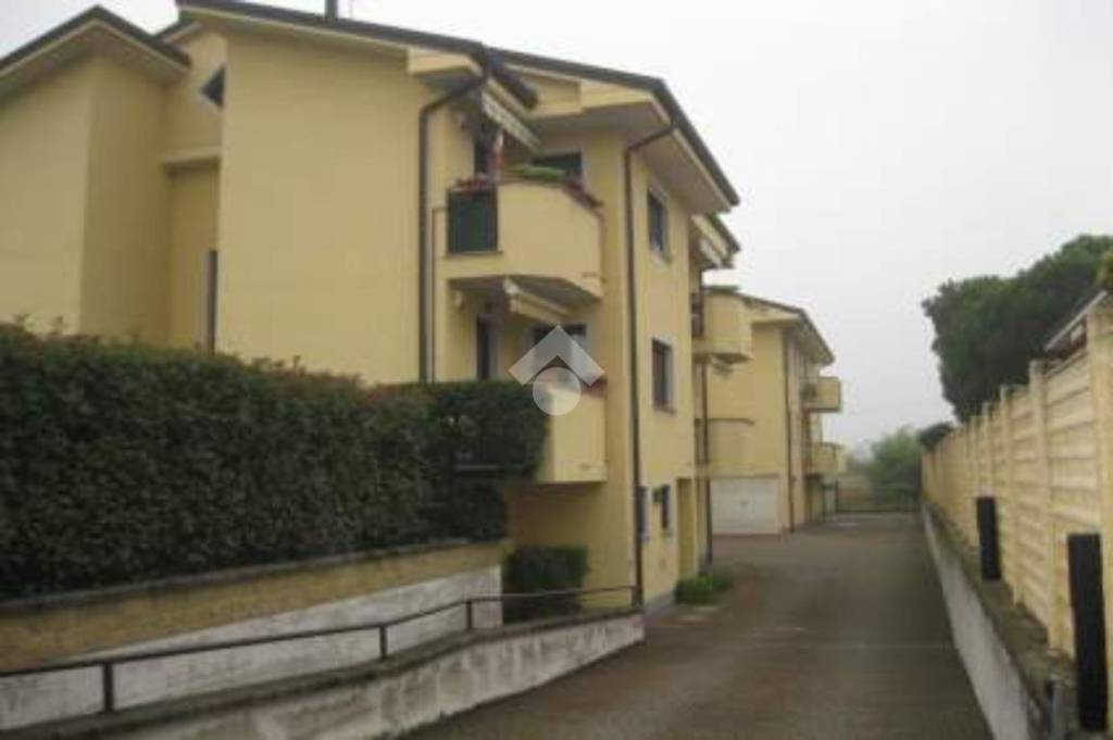 immagine annuncio 9 di 14