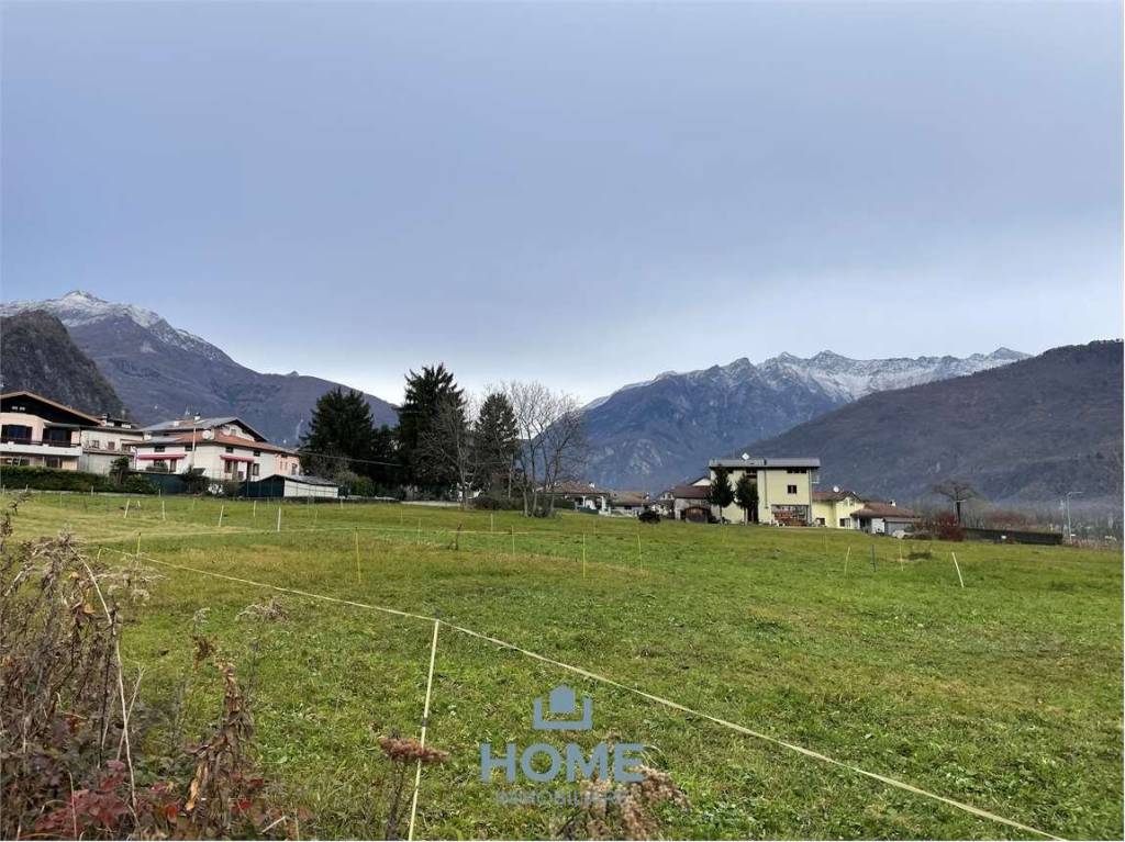 immagine annuncio 3 di 8