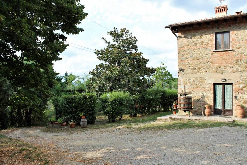 immagine annuncio 1 di 14