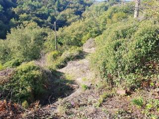 Terreno residenziale in vendita a imperia 