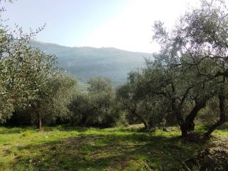 Terreno commerciale in vendita a imperia 