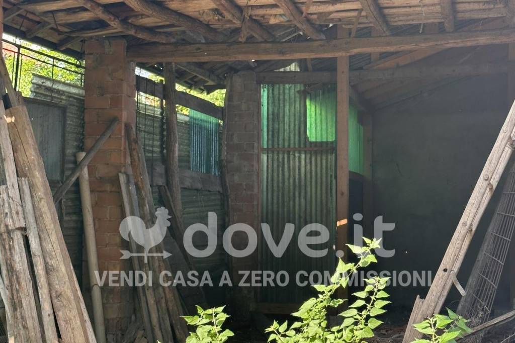 immagine annuncio 4 di 8