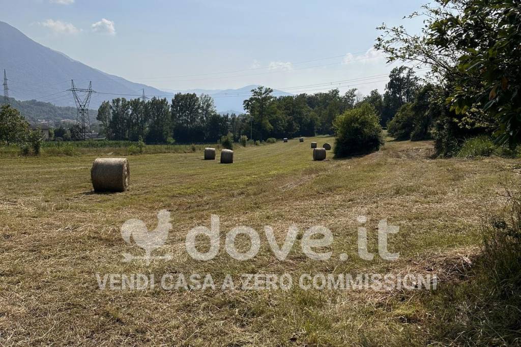 immagine annuncio 7 di 8