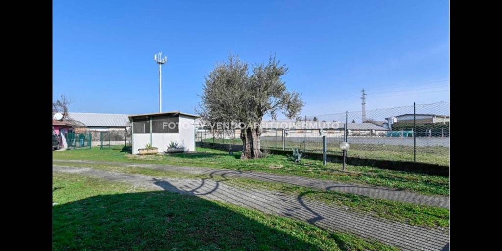 immagine annuncio 3 di 12
