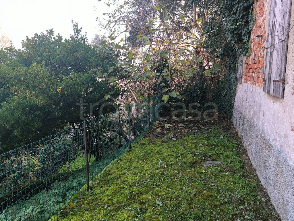 immagine annuncio 7 di 14