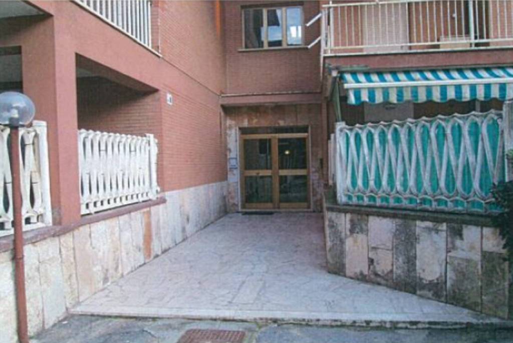 immagine annuncio 4 di 12