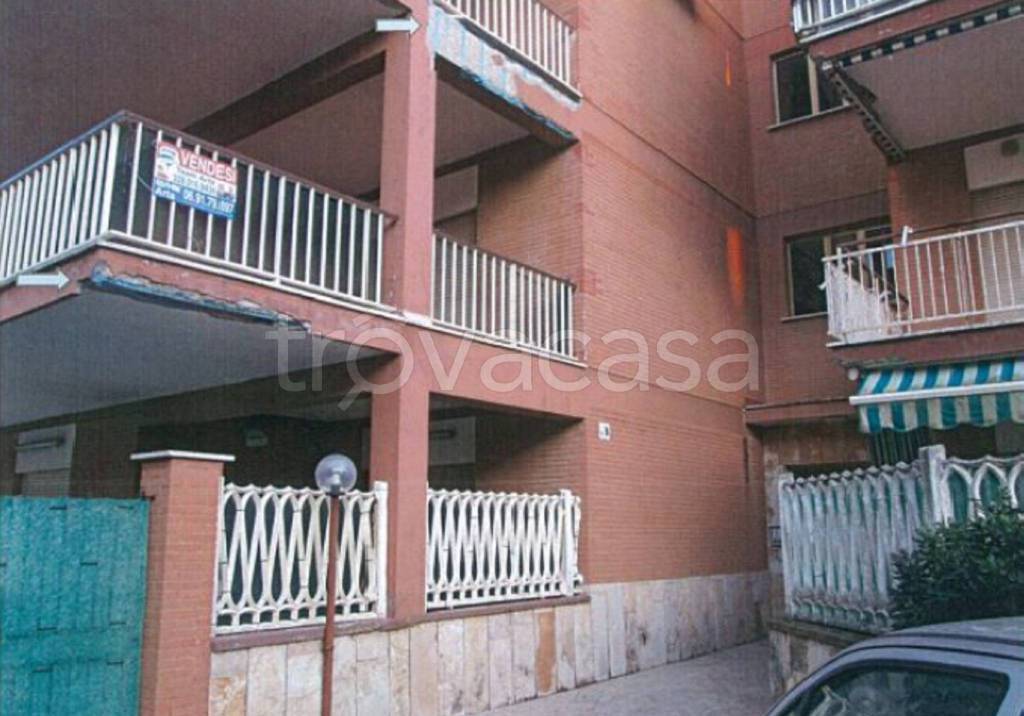 immagine annuncio 5 di 12