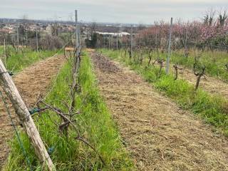 Terreno agricolo in affitto a usmate velate via tre case, 1