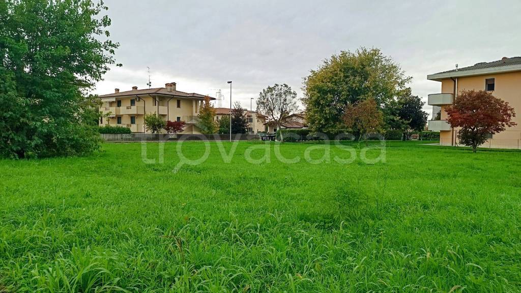 immagine annuncio 6 di 9