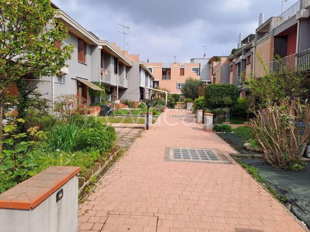 immagine annuncio 1 di 8