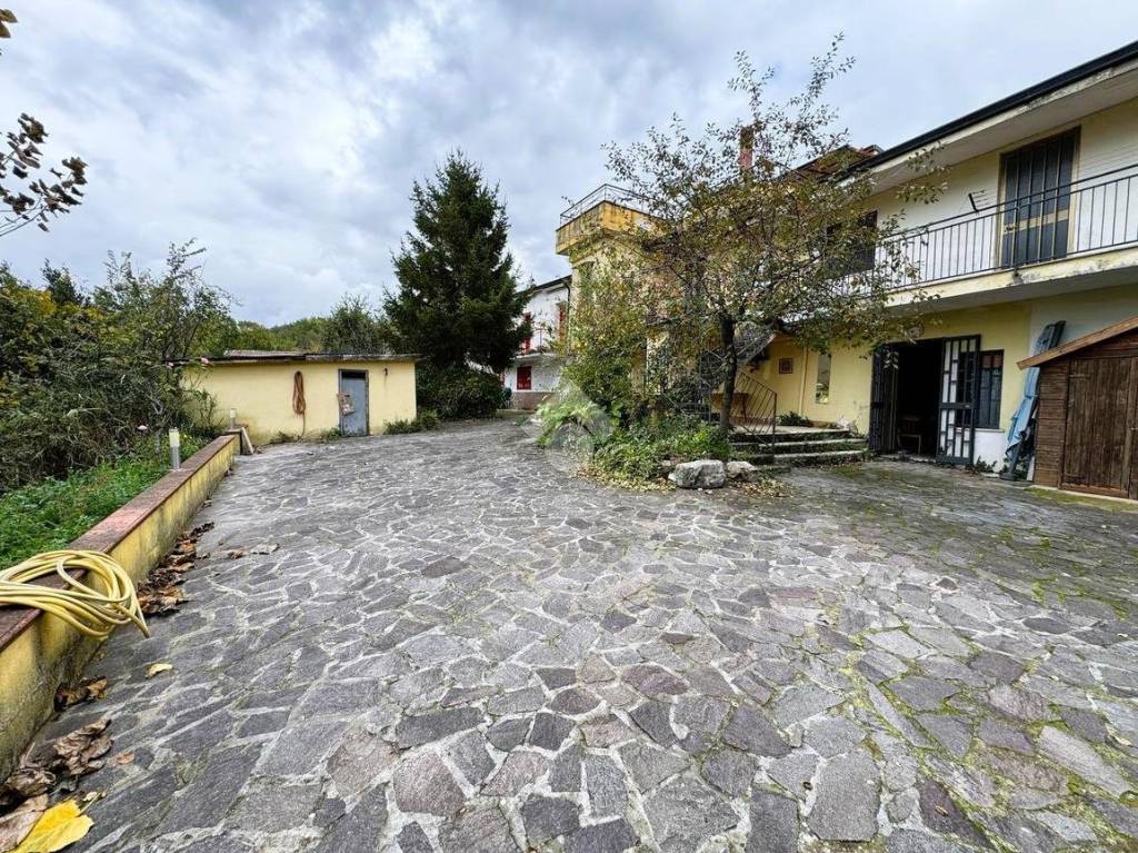 immagine annuncio 12 di 15