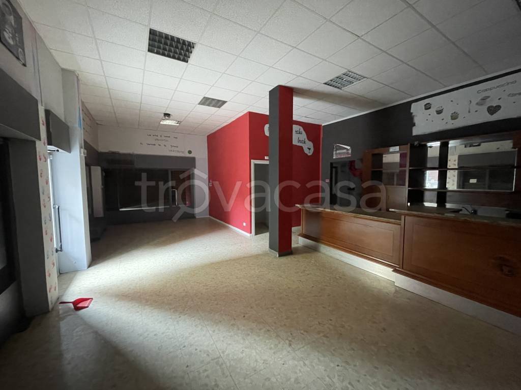 immagine annuncio 7 di 12
