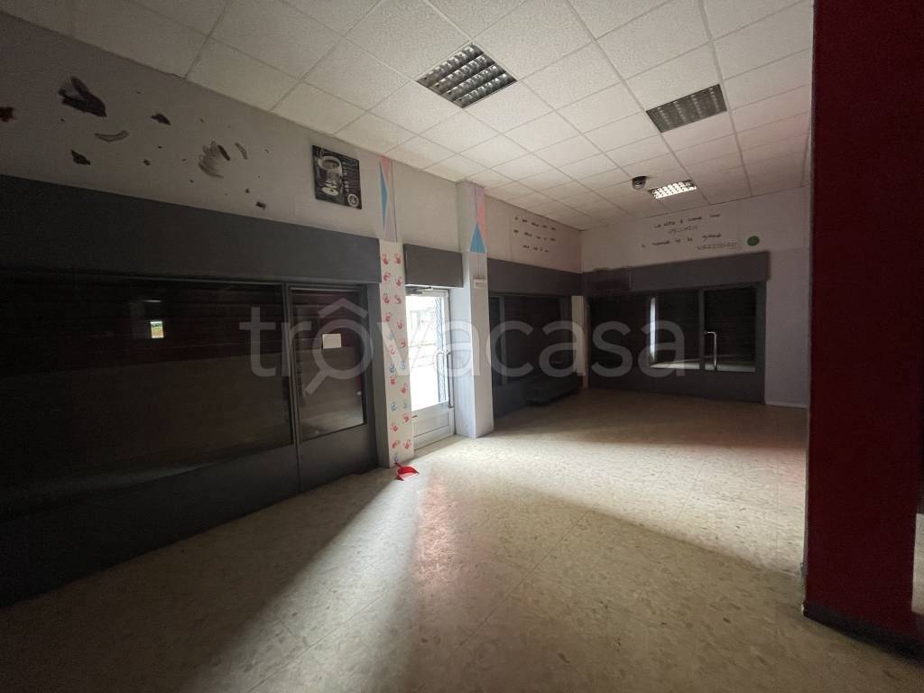 immagine annuncio 10 di 12