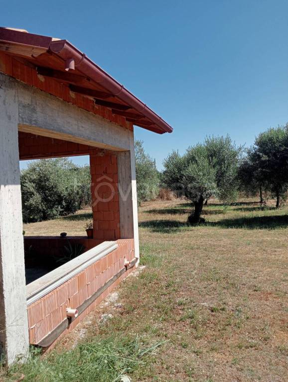 immagine annuncio 8 di 11